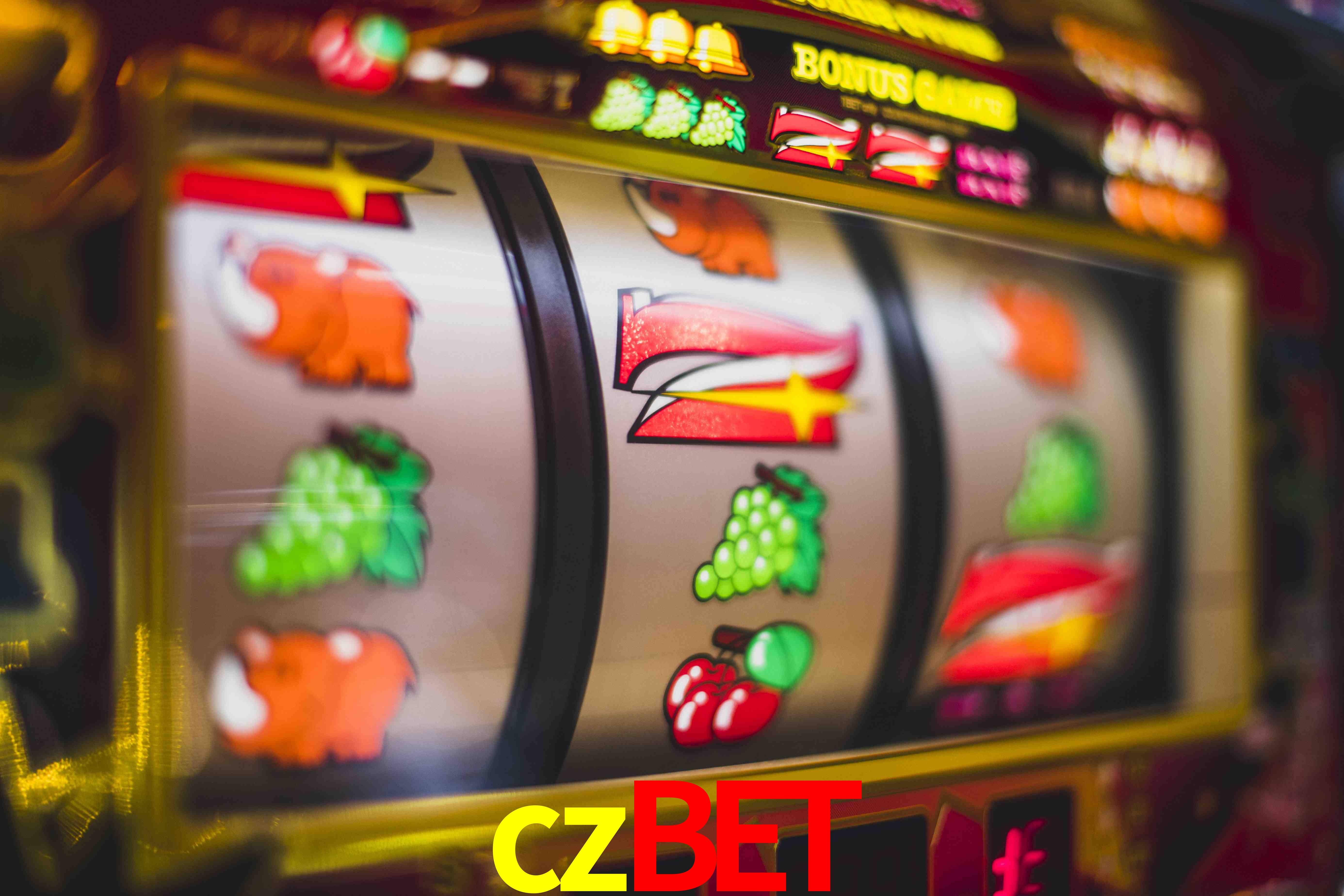 Sports Statistics czbet